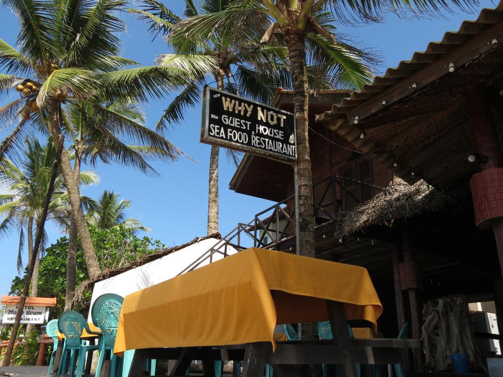 Why Not Guest House Hikkaduwa Extérieur photo